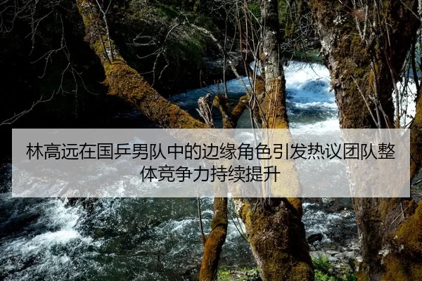 林高远在国乒男队中的边缘角色引发热议团队整体竞争力持续提升