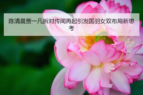 陈清晨贾一凡拆对传闻再起引发国羽女双布局新思考