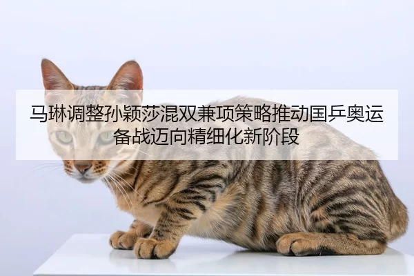 马琳调整孙颖莎混双兼项策略推动国乒奥运备战迈向精细化新阶段