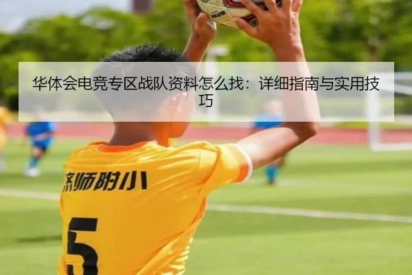 华体会电竞专区战队资料怎么找：详细指南与实用技巧