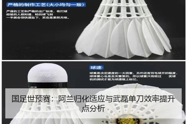 国足世预赛：阿兰归化适应与武磊单刀效率提升点分析
