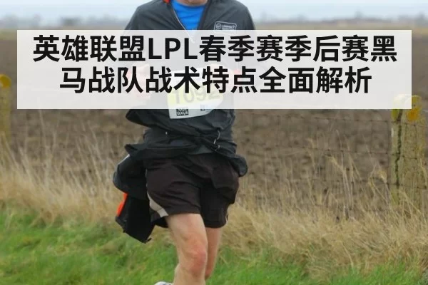 英雄联盟LPL春季赛季后赛黑马战队战术特点全面解析